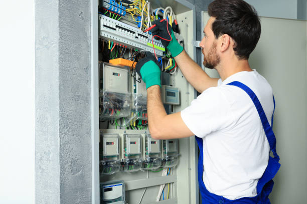 Best Electric Panel Repair  in Plattsburg, MO